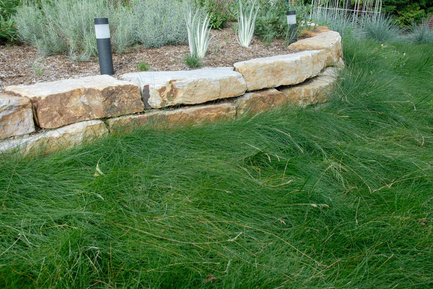 Low Maintenance Reno